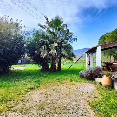 דירה Confortable With Pool *